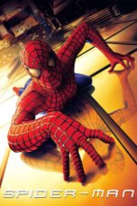 FILMTERBARU - Spider Man (2002)